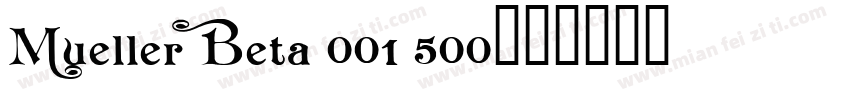 Mueller Beta 001 500字体转换